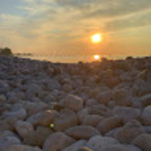 Meet your Posher, Bedrinana family